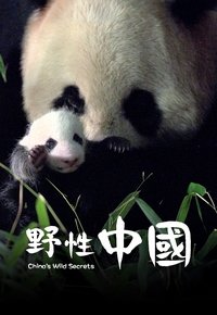 野性中國| TVB 無綫集團