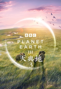TVB 無綫電視